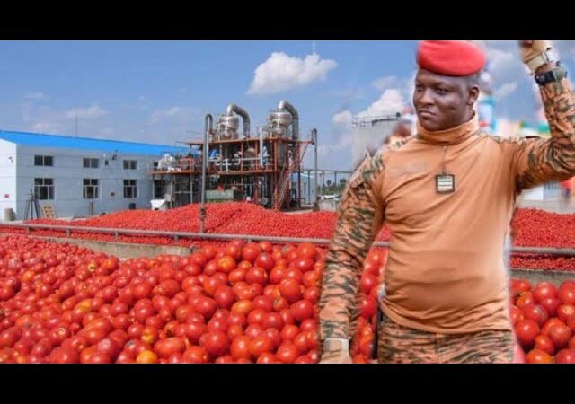 Burkina Faso : Le Capitaine Ibrahim Traoré va inauguré, une autre usine de tomate le 16 décembre 2024