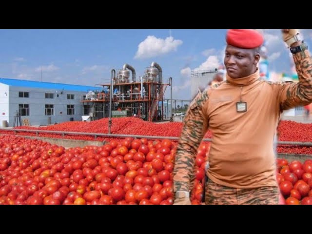 Burkina Faso : Le Capitaine Ibrahim Traoré va inauguré, une autre usine de tomate le 16 décembre 2024